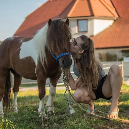 Bee House Maya Gæstehus *