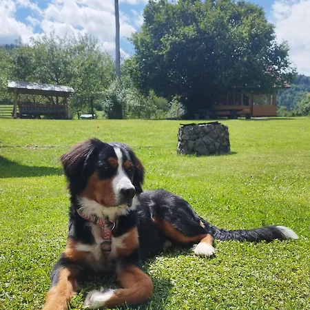 Bee House Maya * Rob